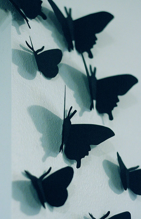 butterflies2
